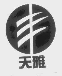 天雅