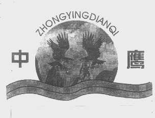 中鹰