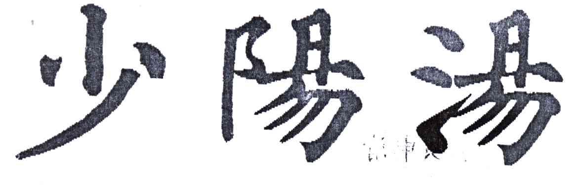 少阳汤