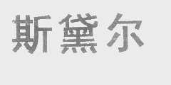 斯黛尔