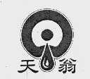 天翁
