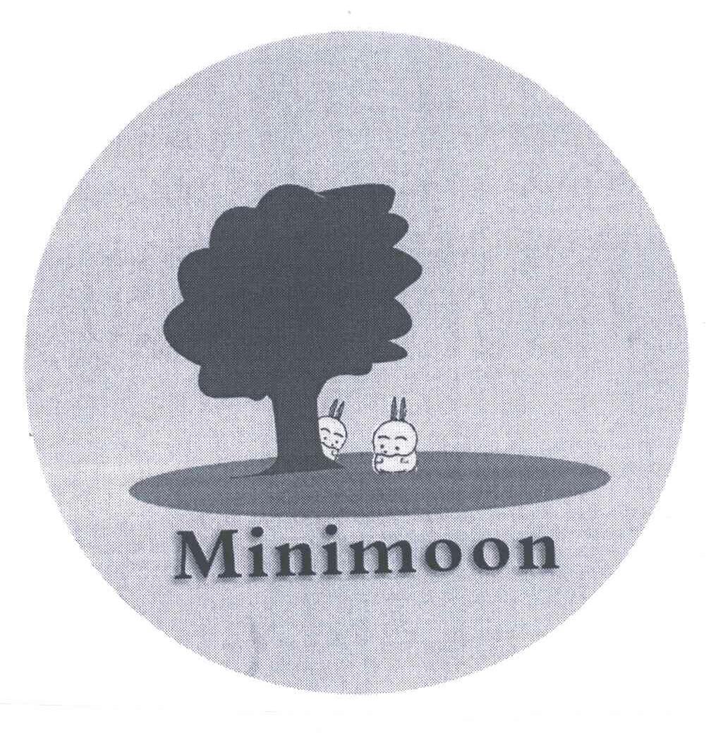MINIMOON