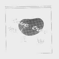 相思树   LOVE TREE