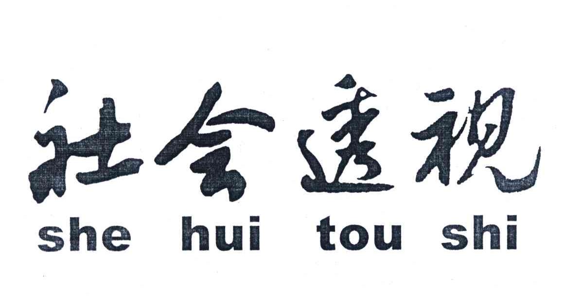 社会透视