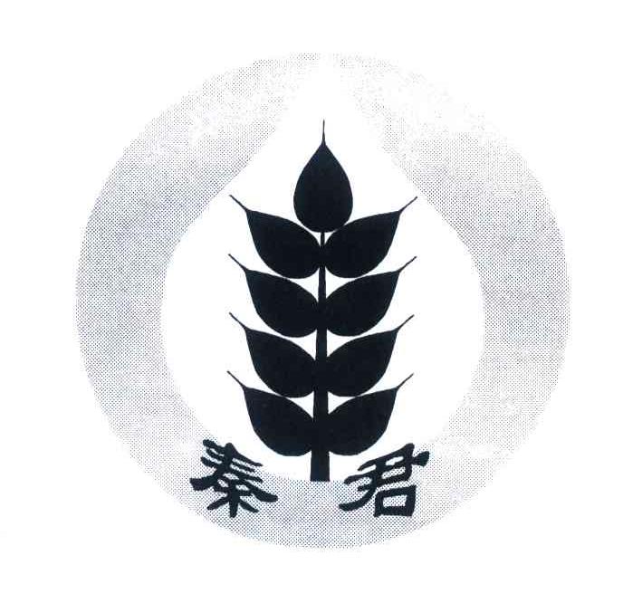 秦君