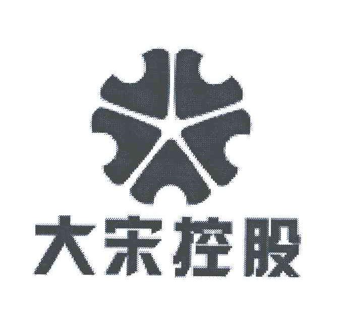大宋控股