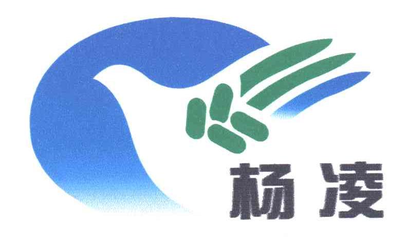 杨凌