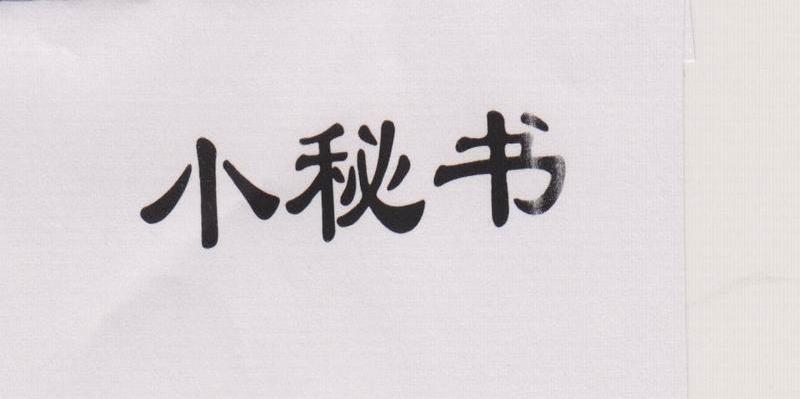 小秘书