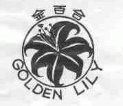 金百合;GOLDEN LILY