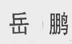 岳鹏