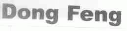 DONG FENG