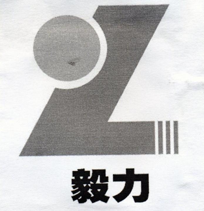 毅力;YL