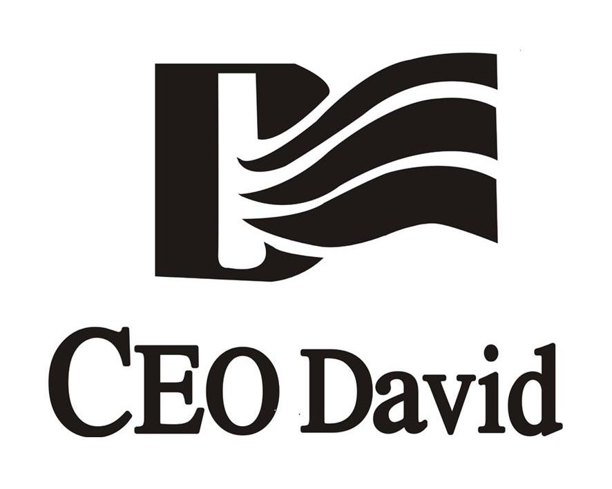 CEO DAVID D