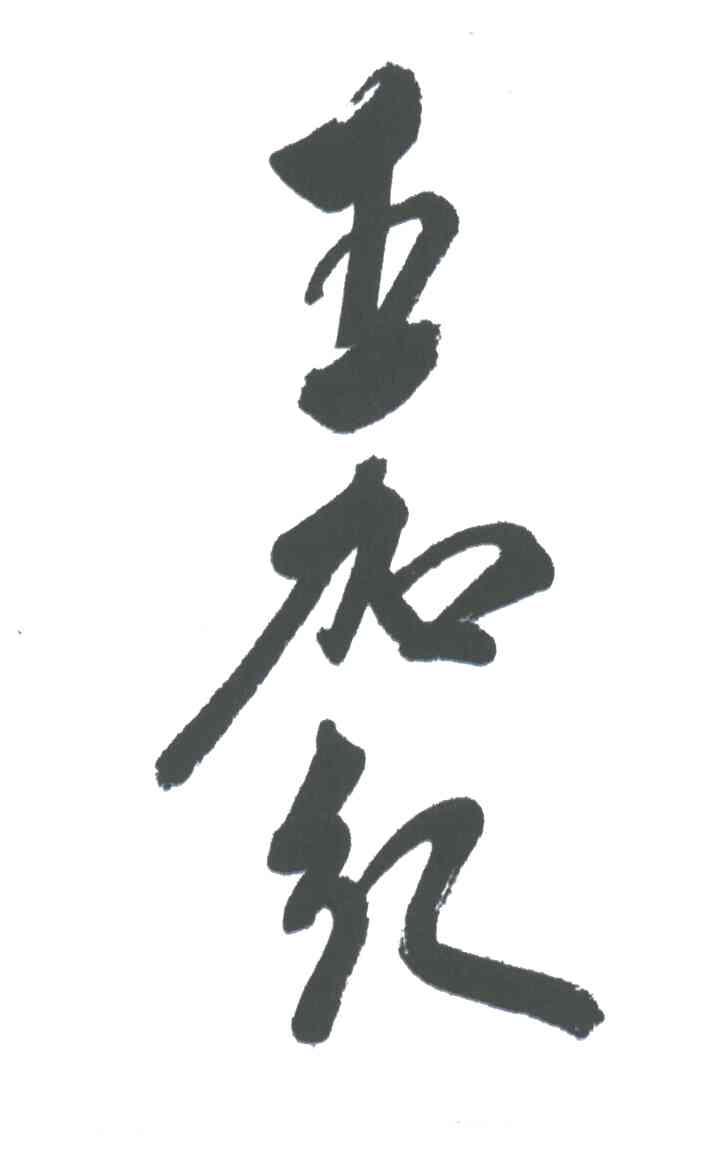 五加红