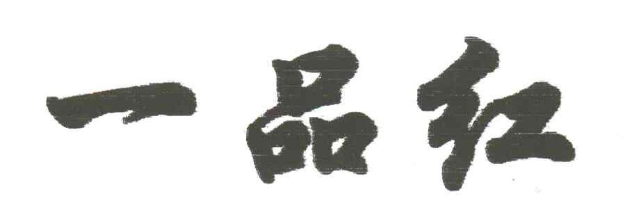 一品红
