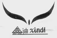 鑫迪