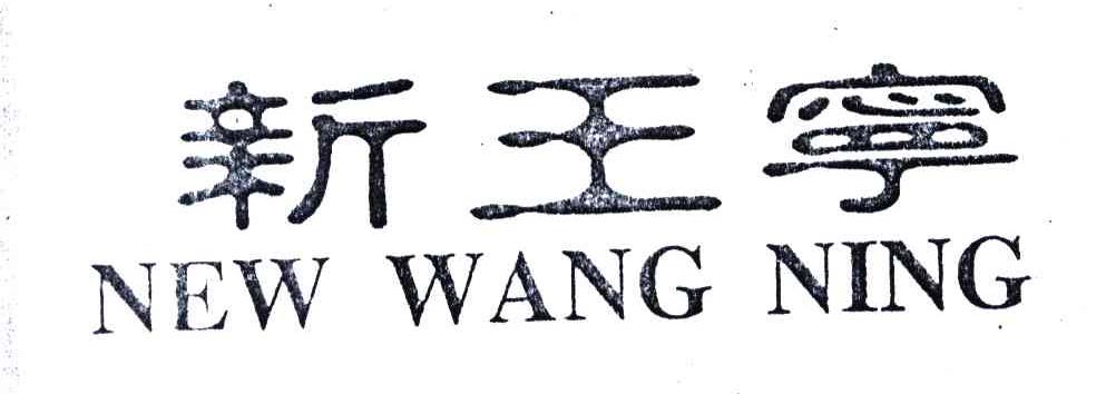 新王宁;NEW WANG NING