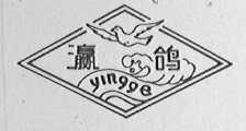 瀛鸽
