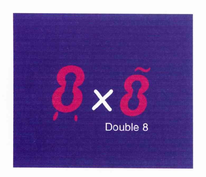 DOULE 8X8