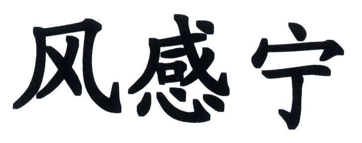 风感宁