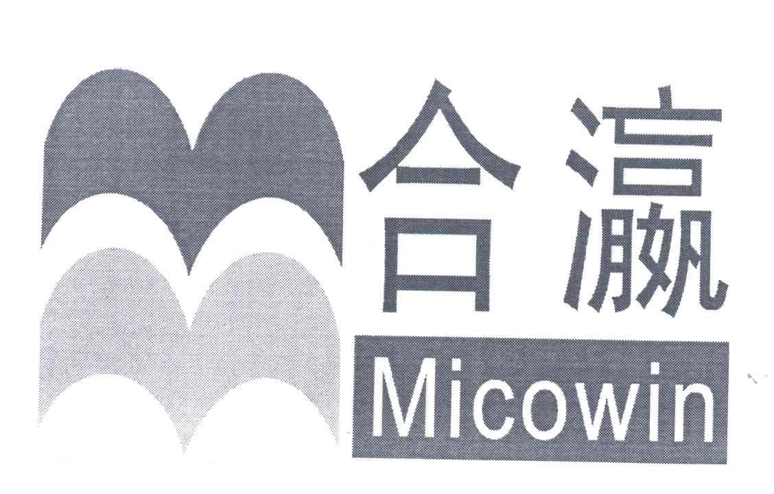 合瀛;MICOWIN