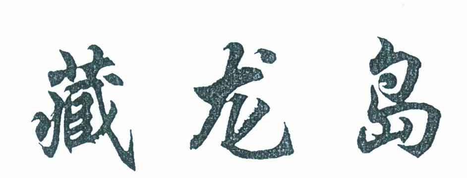 藏龙岛
