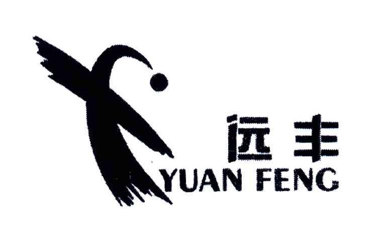 远丰;YUAN FENG
