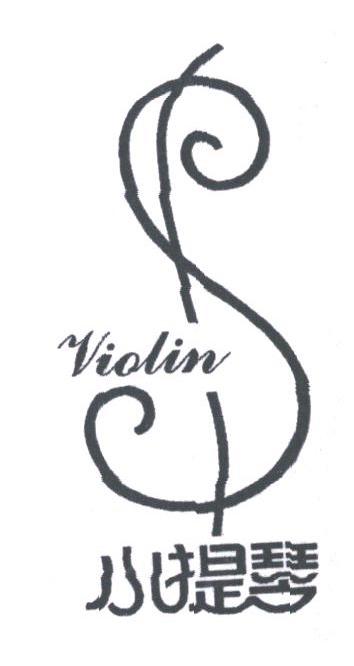 小提琴;VIOLIN