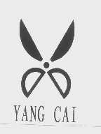 YANG CAI