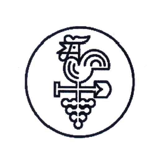 图形
