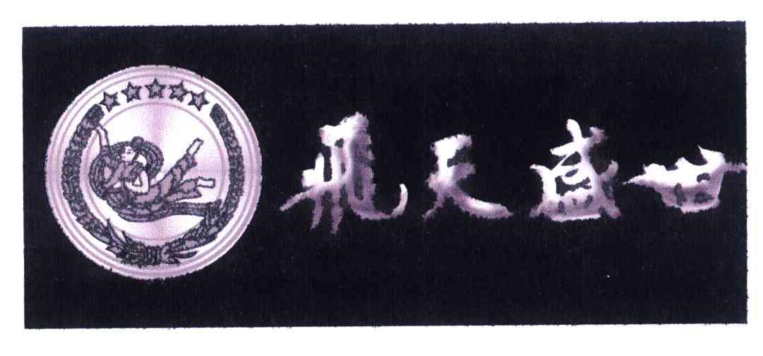 飞天盛世