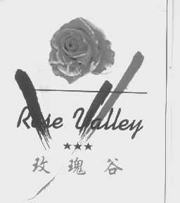 玫瑰谷 ROSE VALLEY