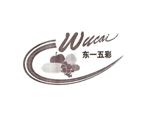 东一五彩 WUCAI