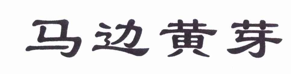 马边黄芽