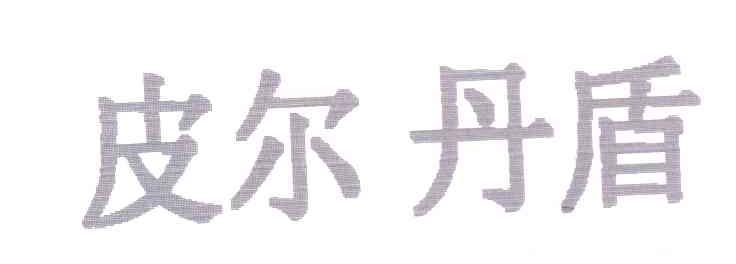 皮尔丹盾