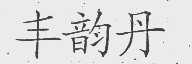 丰韵丹