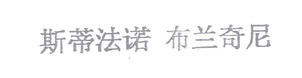 斯蒂法诺布兰奇尼