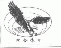 阿合依可