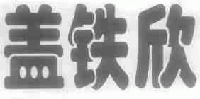 盖铁欣