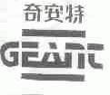 奇安特;GEANT
