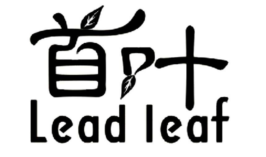 首叶 LEAD LEAF