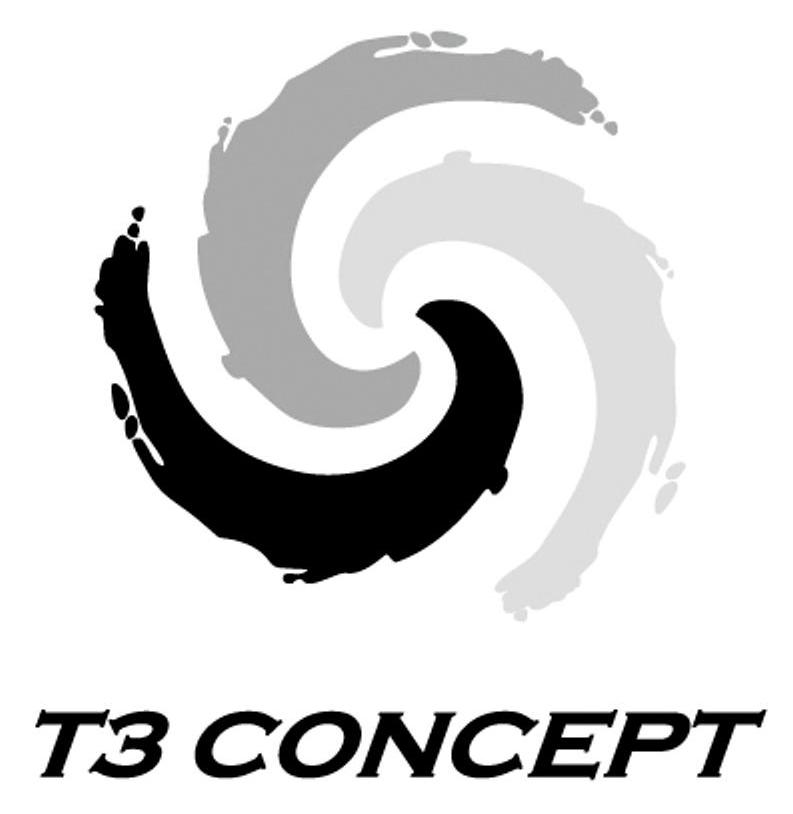 T 3 CONCEPT