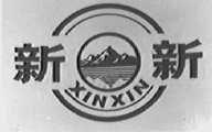 新新