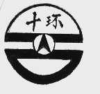 十环