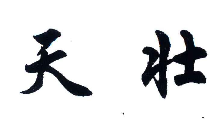 天壮