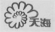 天海