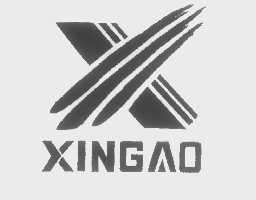 XIN GAO