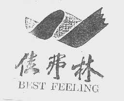 佳弗林   BEST FEELING
