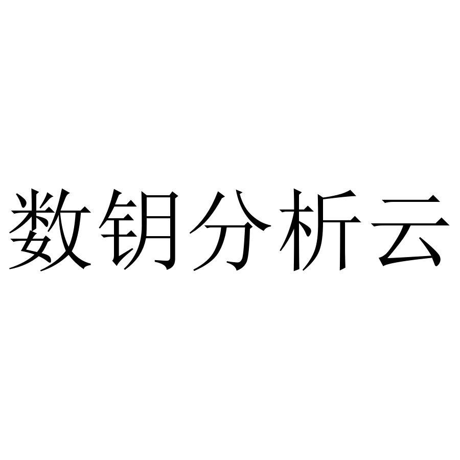 数钥分析云