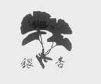 银杏
